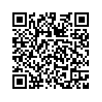 QR-Code: Dorpsplein Wijk bij Duurstede